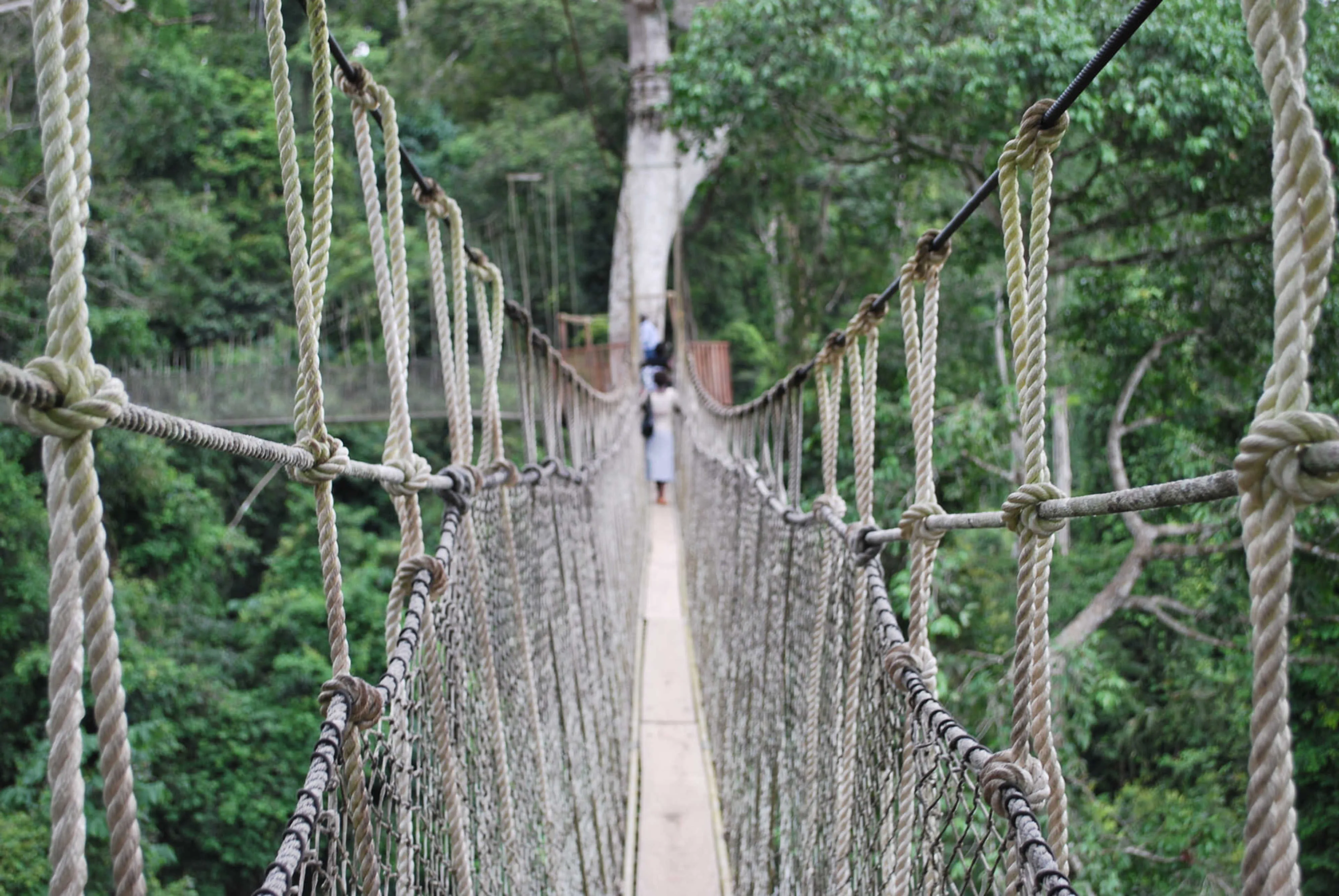 Kakum National Park